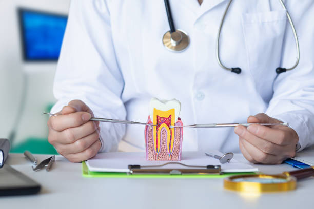 Best Pediatric Emergency Dentist in Marion, IL